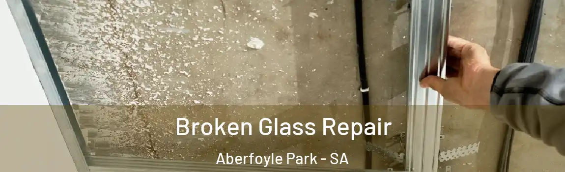  Broken Glass Repair Aberfoyle Park - SA