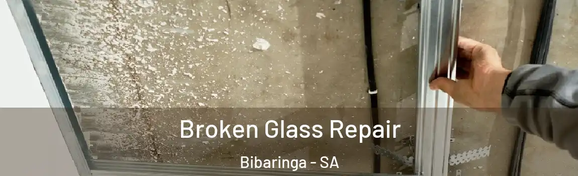 Broken Glass Repair Bibaringa - SA