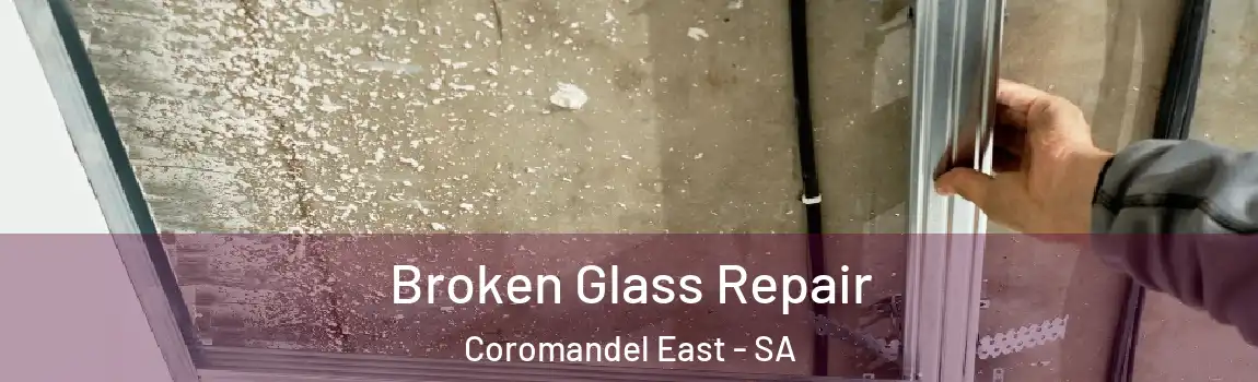 Broken Glass Repair Coromandel East - SA