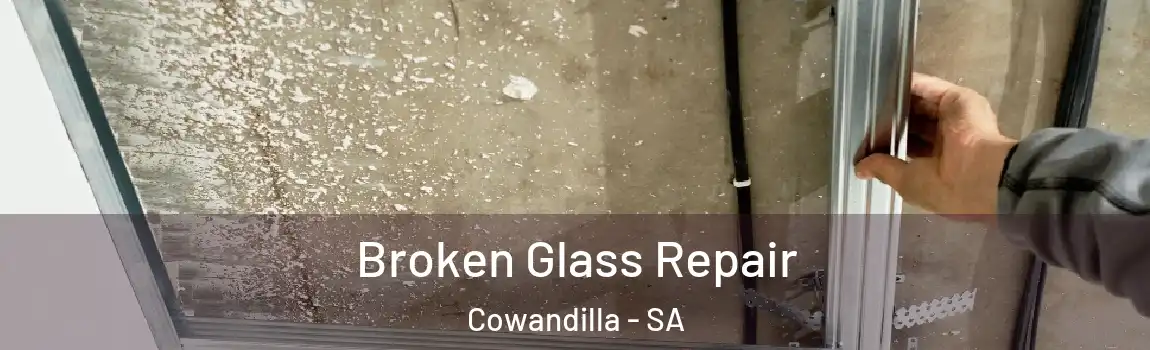 Broken Glass Repair Cowandilla - SA