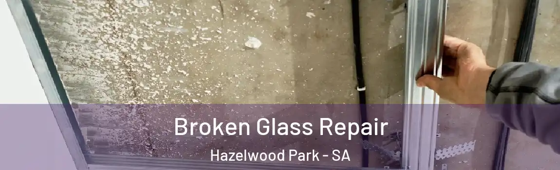 Broken Glass Repair Hazelwood Park - SA