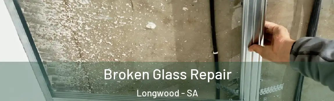 Broken Glass Repair Longwood - SA