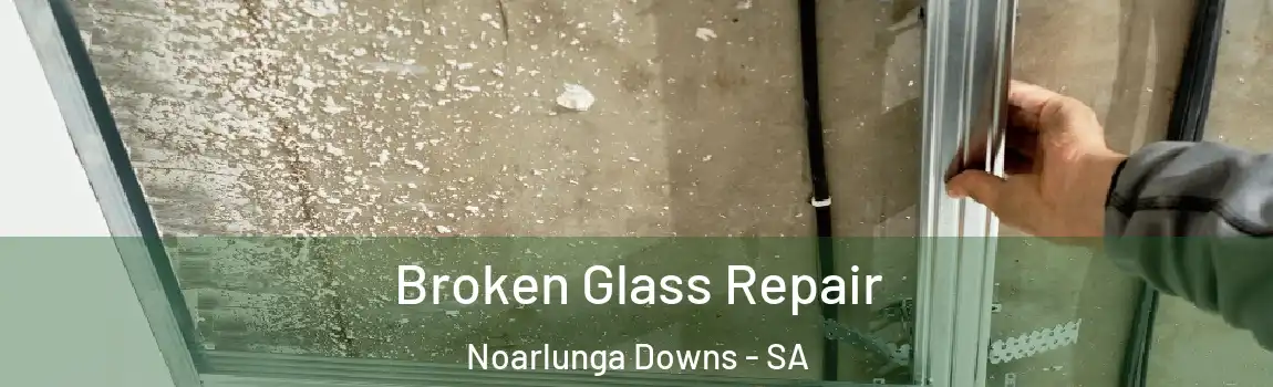 Broken Glass Repair Noarlunga Downs - SA