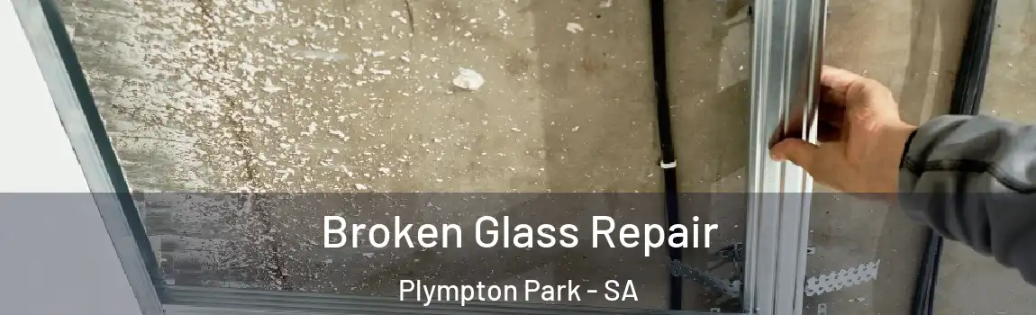 Broken Glass Repair Plympton Park - SA