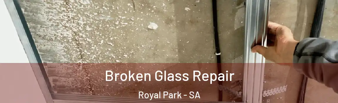 Broken Glass Repair Royal Park - SA