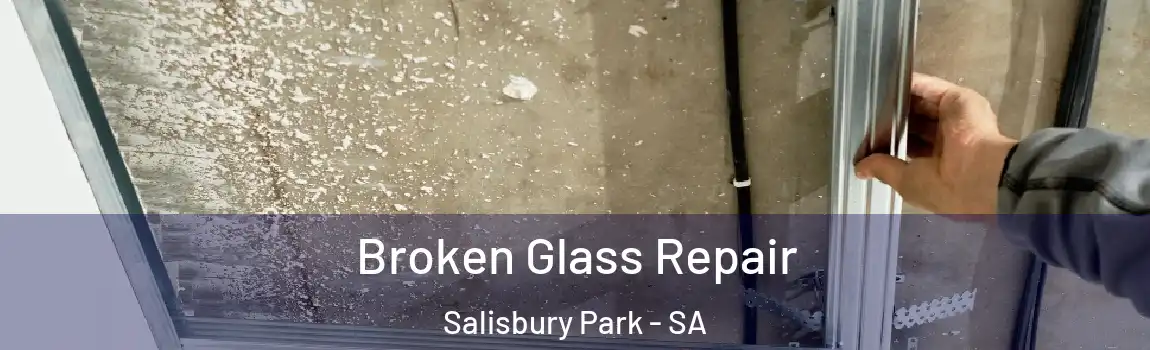  Broken Glass Repair Salisbury Park - SA