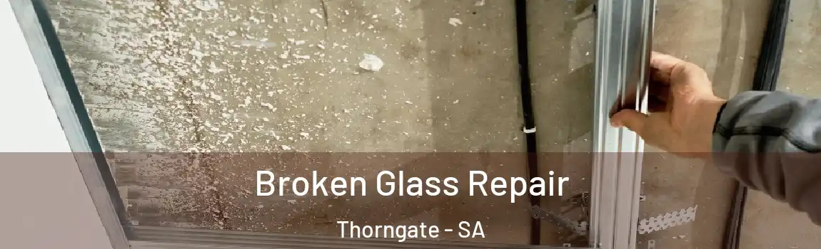 Broken Glass Repair Thorngate - SA