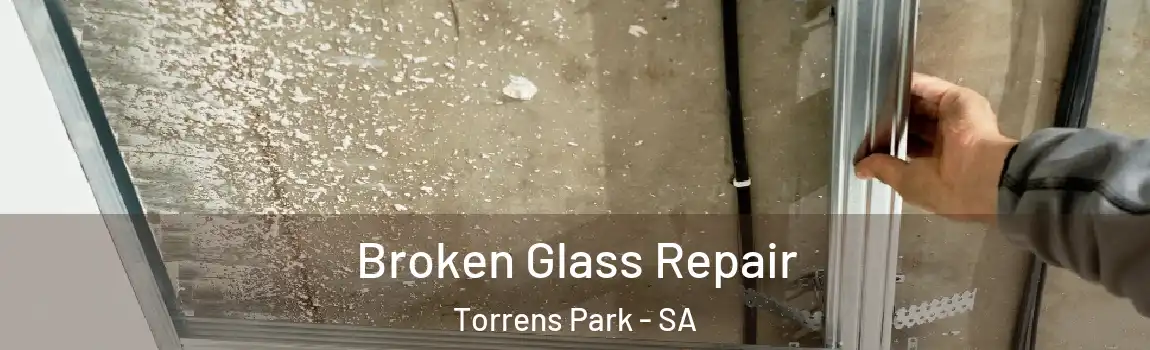 Broken Glass Repair Torrens Park - SA