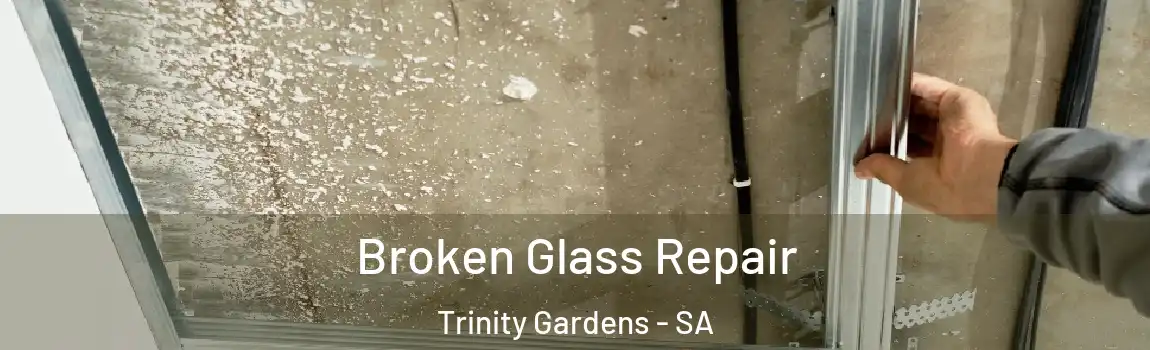 Broken Glass Repair Trinity Gardens - SA
