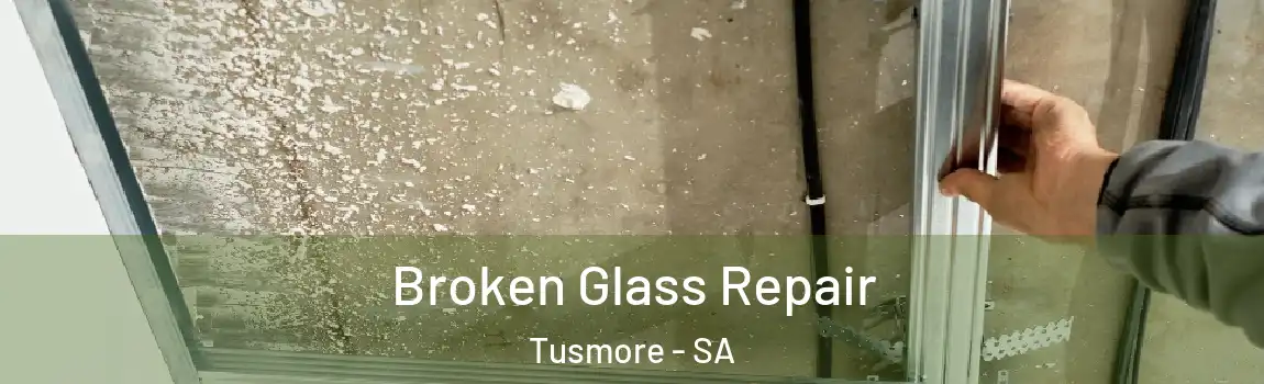 Broken Glass Repair Tusmore - SA