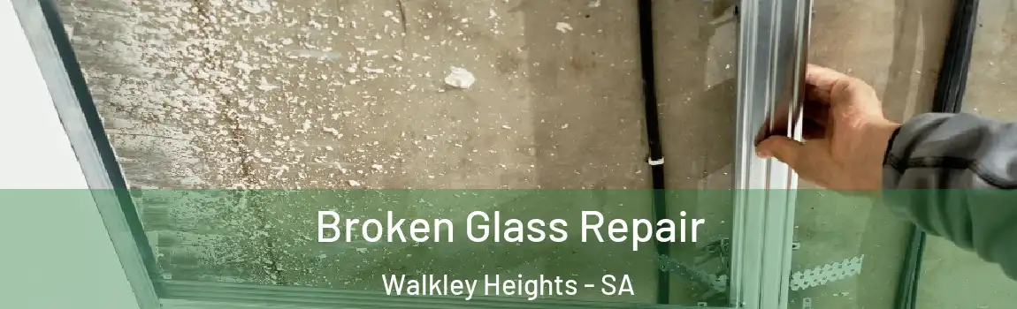  Broken Glass Repair Walkley Heights - SA
