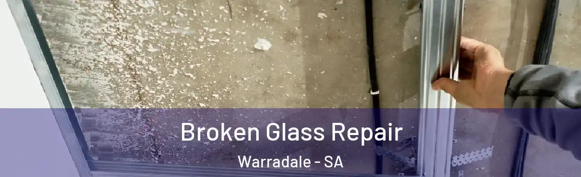  Broken Glass Repair Warradale - SA