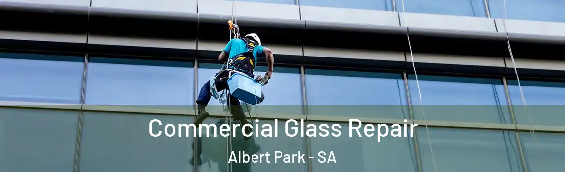  Commercial Glass Repair Albert Park - SA