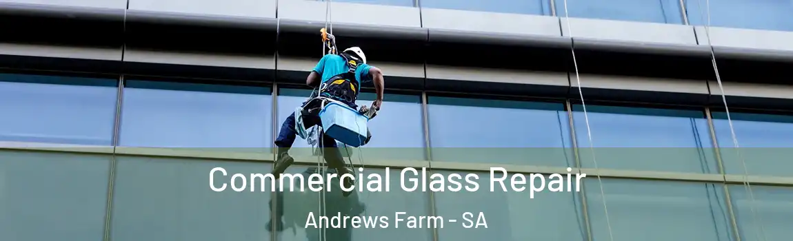 Commercial Glass Repair Andrews Farm - SA