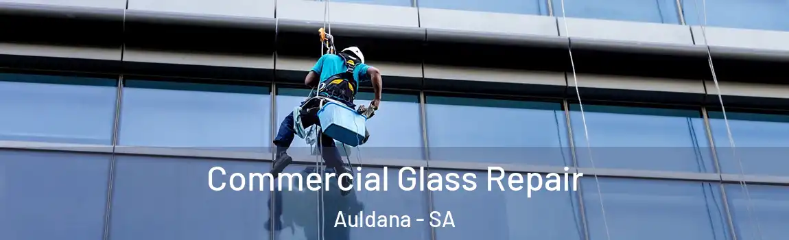 Commercial Glass Repair Auldana - SA