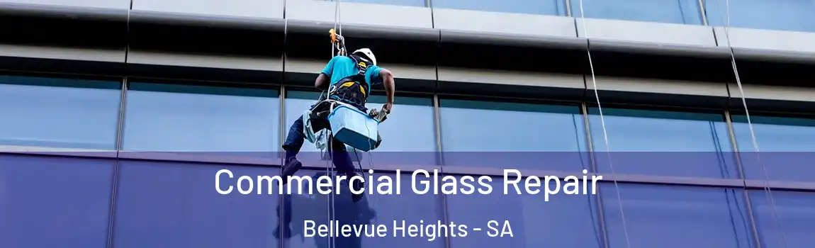 Commercial Glass Repair Bellevue Heights - SA