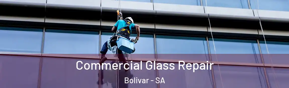  Commercial Glass Repair Bolivar - SA