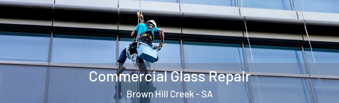 Commercial Glass Repair Brown Hill Creek - SA