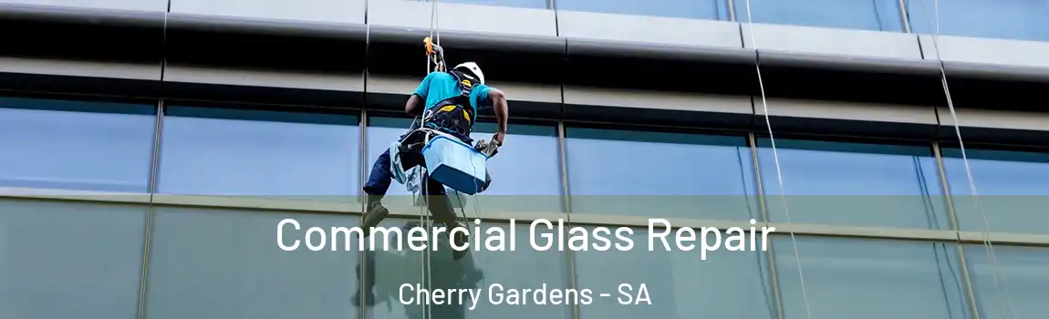  Commercial Glass Repair Cherry Gardens - SA