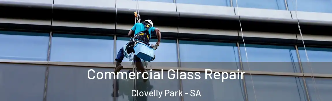 Commercial Glass Repair Clovelly Park - SA
