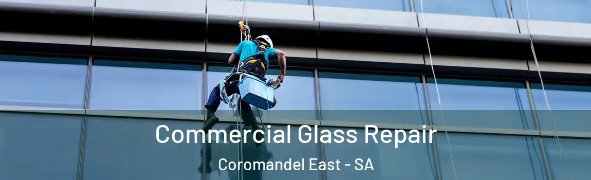 Commercial Glass Repair Coromandel East - SA