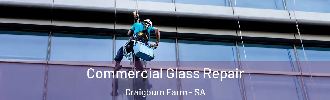 Commercial Glass Repair Craigburn Farm - SA