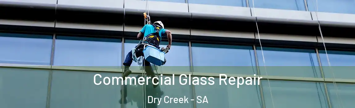Commercial Glass Repair Dry Creek - SA
