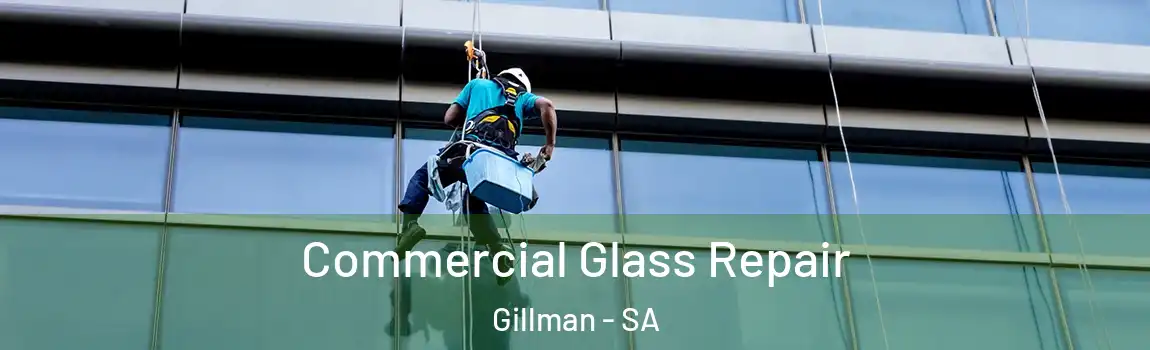 Commercial Glass Repair Gillman - SA