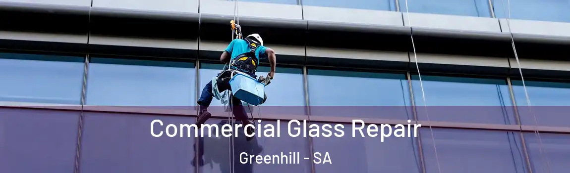 Commercial Glass Repair Greenhill - SA