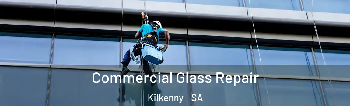 Commercial Glass Repair Kilkenny - SA