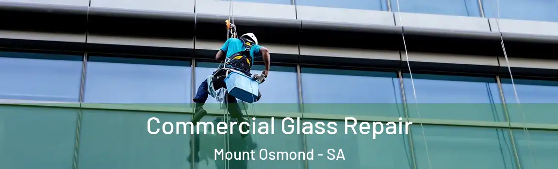 Commercial Glass Repair Mount Osmond - SA