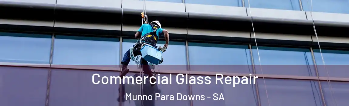 Commercial Glass Repair Munno Para Downs - SA