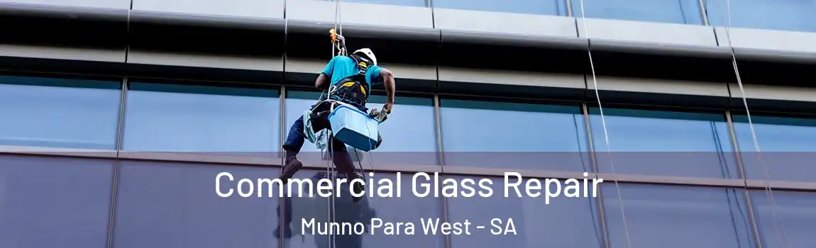 Commercial Glass Repair Munno Para West - SA