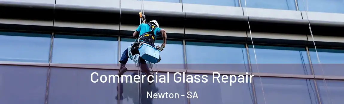  Commercial Glass Repair Newton - SA
