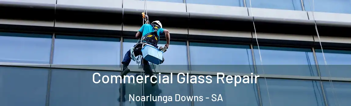 Commercial Glass Repair Noarlunga Downs - SA