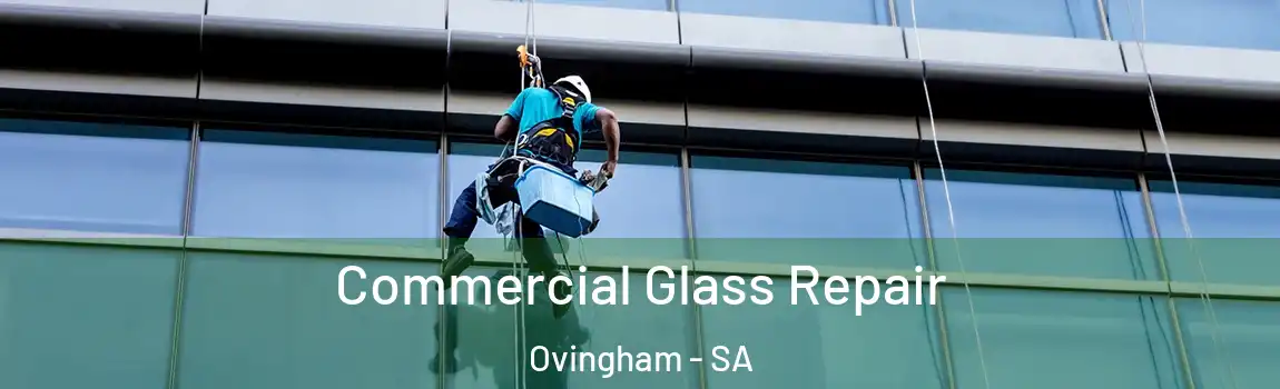 Commercial Glass Repair Ovingham - SA