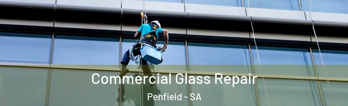 Commercial Glass Repair Penfield - SA