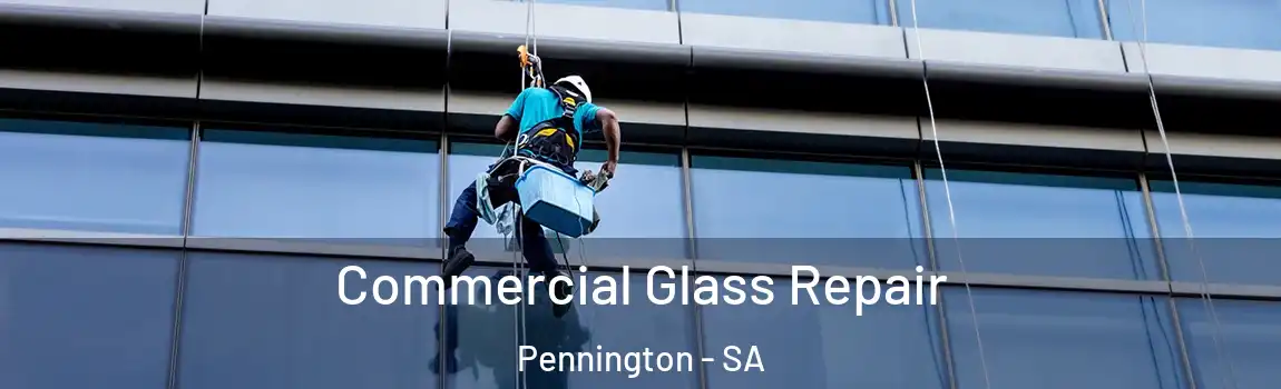 Commercial Glass Repair Pennington - SA