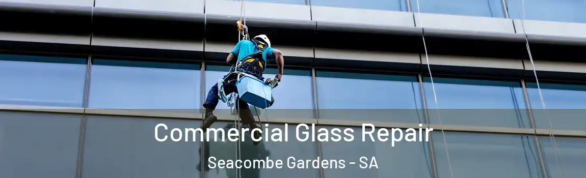 Commercial Glass Repair Seacombe Gardens - SA