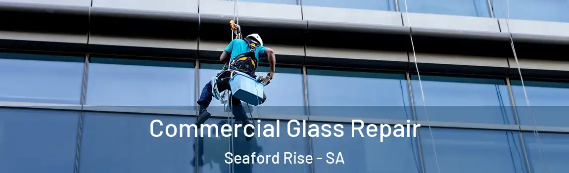 Commercial Glass Repair Seaford Rise - SA