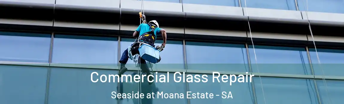  Commercial Glass Repair Seaside at Moana Estate - SA