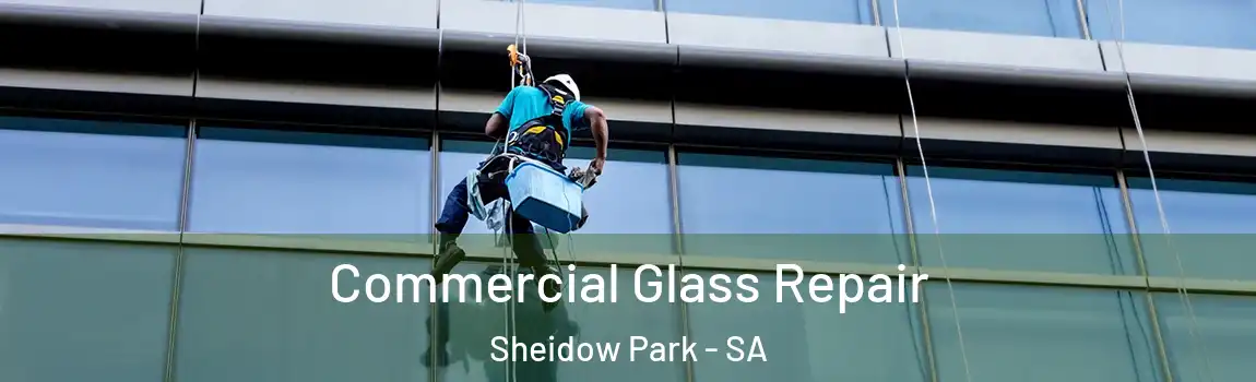 Commercial Glass Repair Sheidow Park - SA