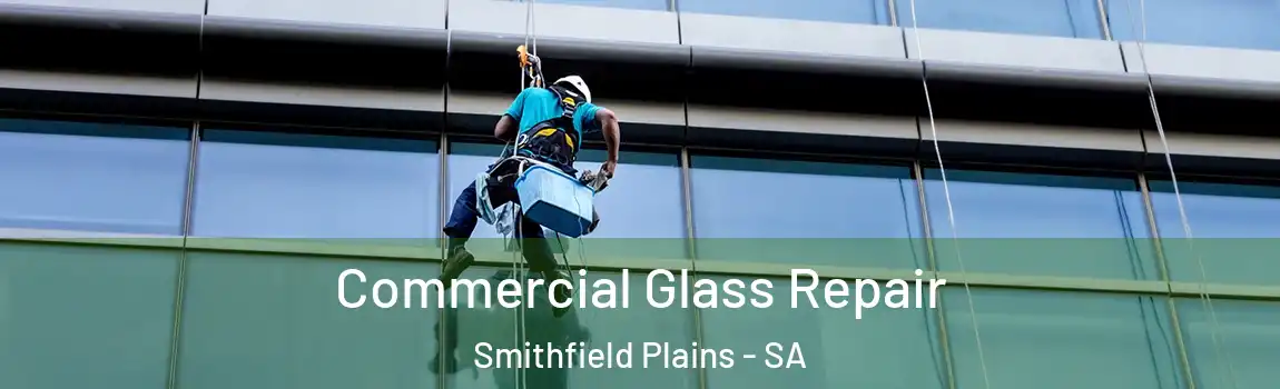  Commercial Glass Repair Smithfield Plains - SA