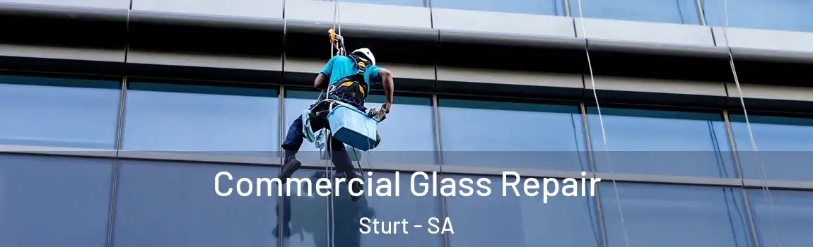 Commercial Glass Repair Sturt - SA