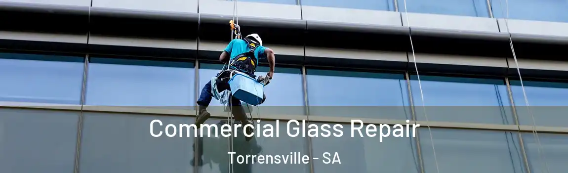  Commercial Glass Repair Torrensville - SA