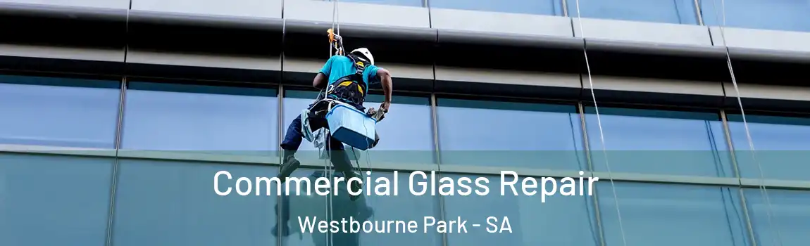 Commercial Glass Repair Westbourne Park - SA