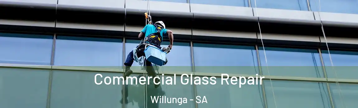 Commercial Glass Repair Willunga - SA