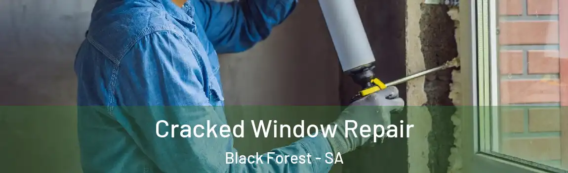  Cracked Window Repair Black Forest - SA