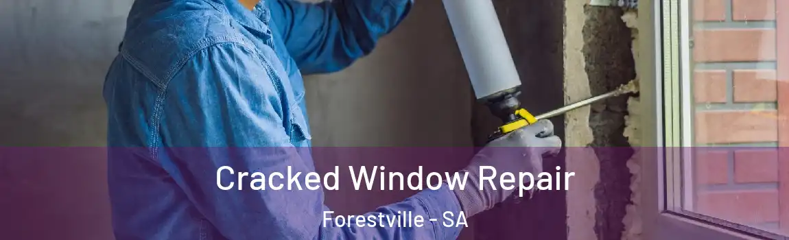 Cracked Window Repair Forestville - SA