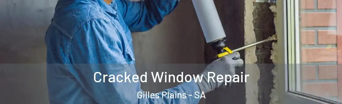 Cracked Window Repair Gilles Plains - SA